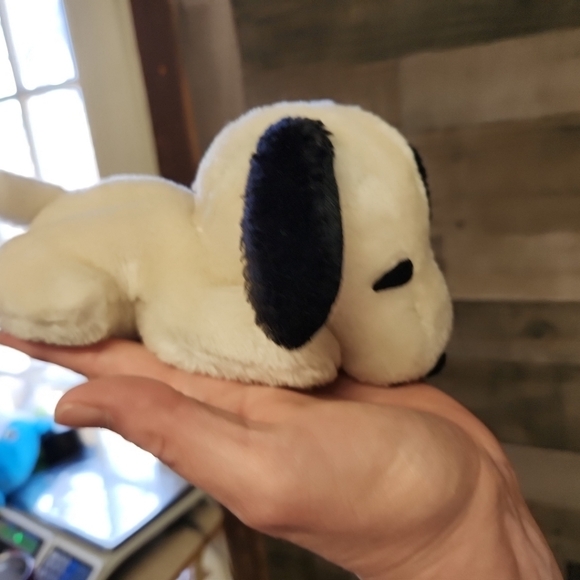 Rustic Wood Paneling - Picture 1 of 4